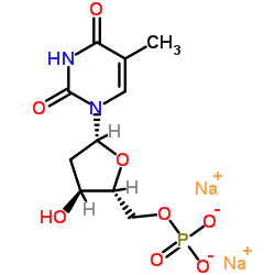 Thymidine-5'-monophosphate disodium salt CAS:33430-62-5 manufacturer & supplier