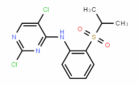 2,5-Dichloro-N-(2-(isopropylsulfonyl)phenyl)pyrimidin-4-amine CAS:761440-16-8 manufacturer & supplier