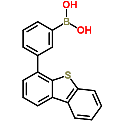 (3-dibenzothiophen-4-ylphenyl)boronic acid CAS:1307859-67-1 manufacturer & supplier