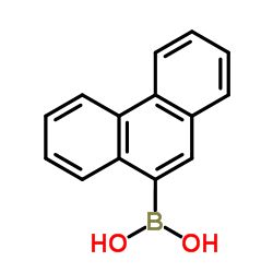 9-Phenanthreneboronic Acid CAS:68572-87-2 manufacturer & supplier
