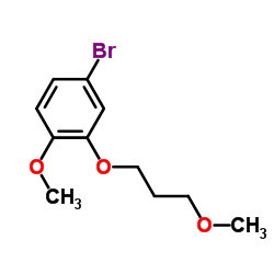 4-Bromo-1-methoxy-2-(3-methoxypropoxy)benzene CAS:173336-76-0 manufacturer & supplier