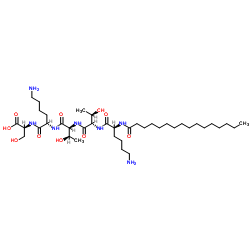 Palmitoyl pentapeptide-4 CAS:214047-00-4 manufacturer & supplier
