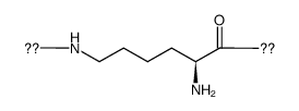 epsilon-polylysine CAS:28211-04-3 manufacturer & supplier